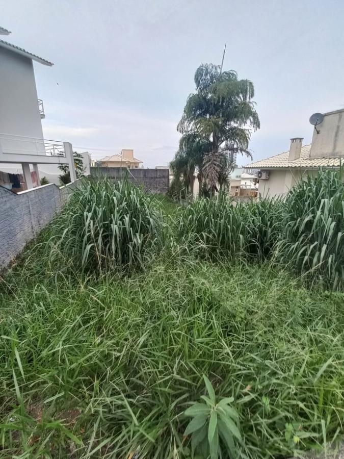 Terreno, 360 m² - Foto 5