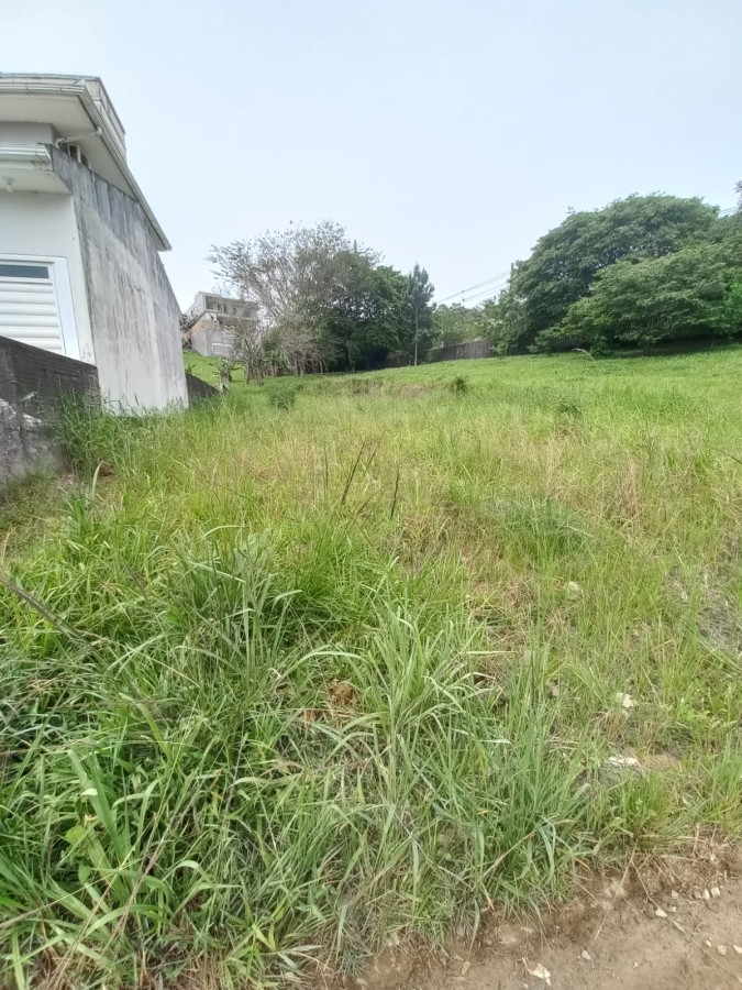 Terreno, 360 m² - Foto 2