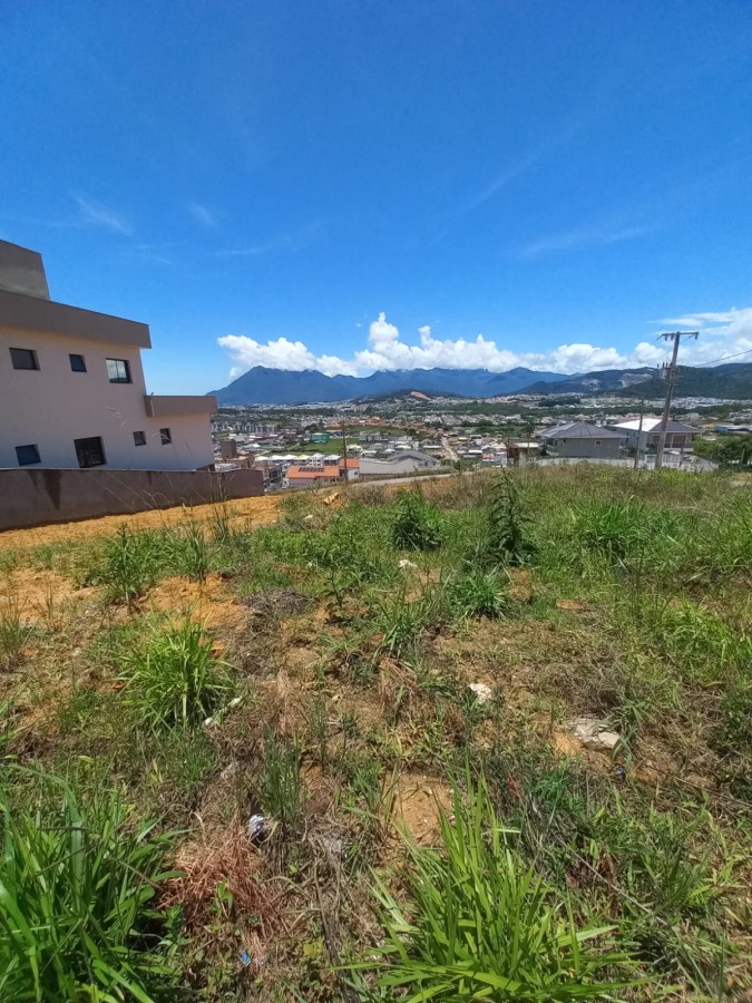 Terreno, 438 m² - Foto 4