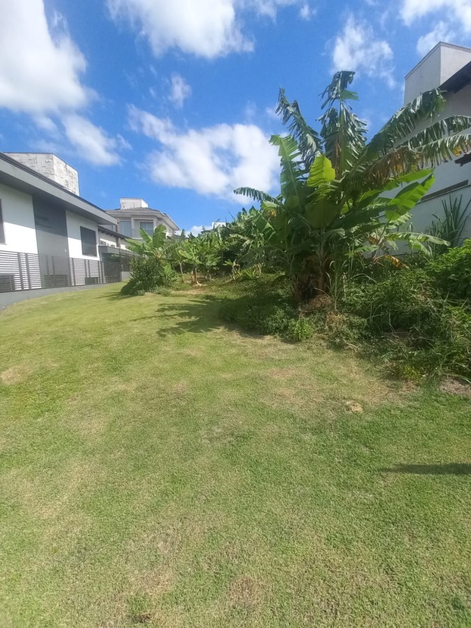 Terreno, 445 m² - Foto 1