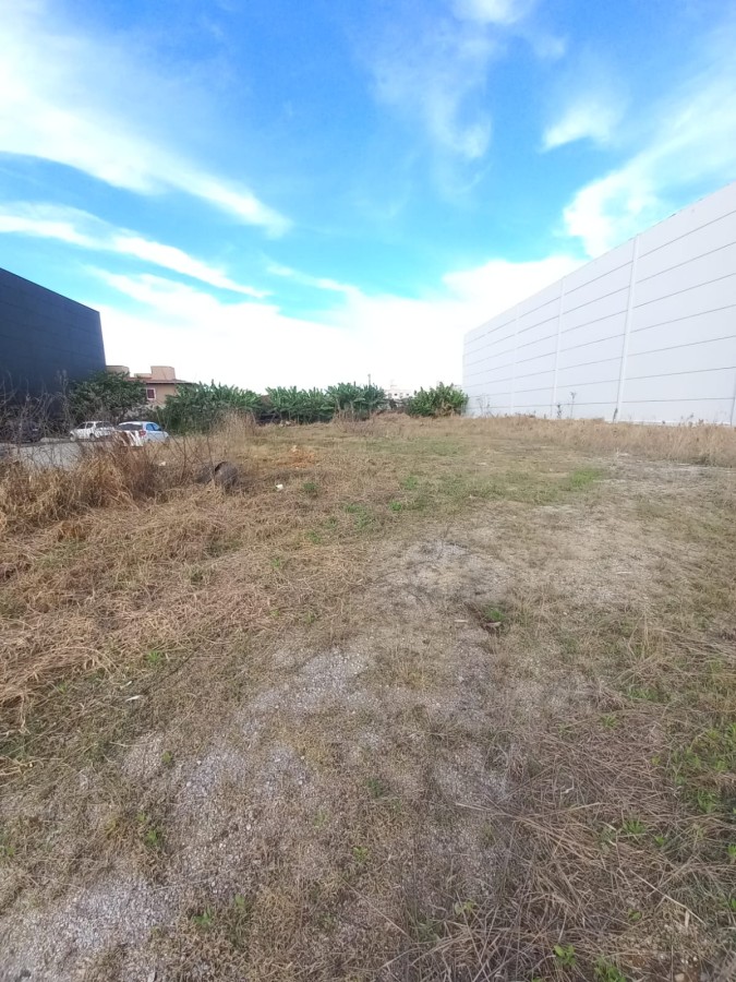 Terreno, 1016 m² - Foto 3