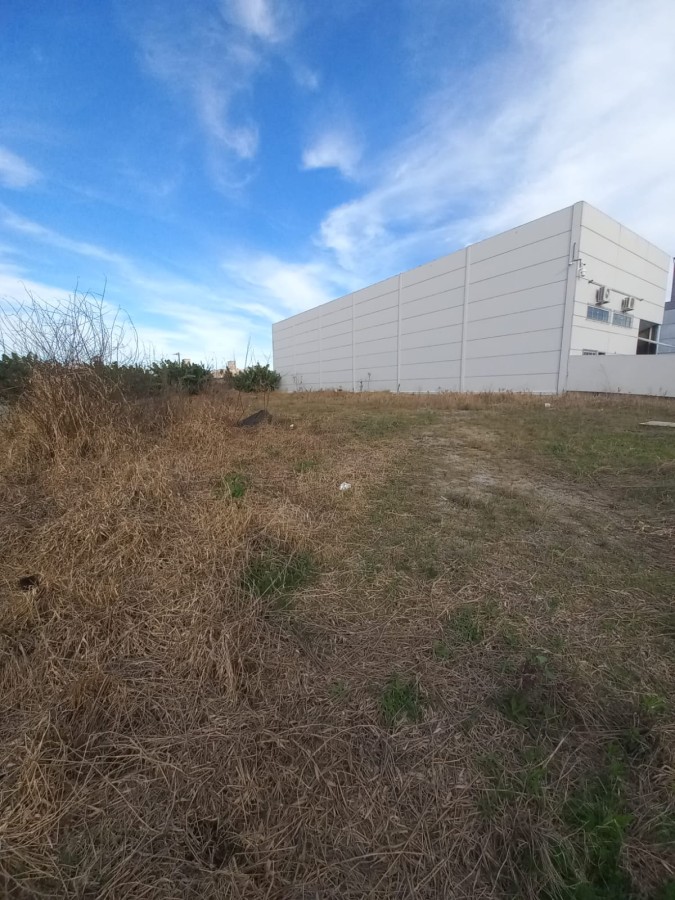 Terreno, 1016 m² - Foto 6