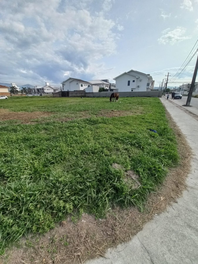 Terreno, 1634 m² - Foto 2
