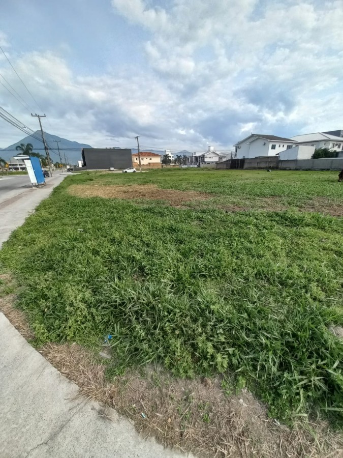 Terreno, 1634 m² - Foto 9